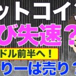 ビットコイン（BTC）再び失速？10万ドル前半へ！〜ビビりーは売ってくる？
