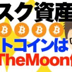 BTC（ビットコイン）はToTheMoon保険！〜それでもリスク資産と考える？