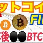 【仮想通貨FIRE】10年後早期退職に何枚ビットコイン必要！？