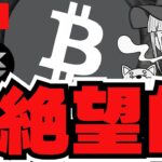 【絶望】論争激化！将来ビットコインは存続できるか？仮想通貨の危機？／Hype、World大躍進