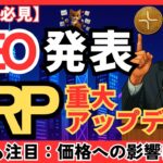 【初心者必見】Ripple CEOがXRPの重大発表！価格はどうなる！？#XRP   #リップル #仮想通貨初心者
