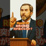 Ripple CEOがXRPの重大発表！価格はどうなる！？#XRP   #リップル #仮想通貨初心者
