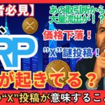 【初心者必見】Rippleの“X”謎投稿が示す未来──XRP下落と大口流出の裏にある真実とは？#XRP   #リップル #仮想通貨初心者