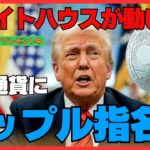 トランプ発言でXRP急騰⁉︎ リップルが準備通貨になる日｜仮想通貨最前線