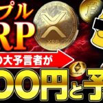 【仮想通貨】リップル(XRP)大予言!!初心者がビットコイン以外にも買うべき仮想通貨/シンプソンズとリップル【ゆっくり】
