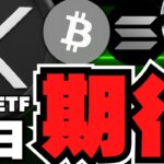 【仮想通貨】今夜XRP先物上場！リップルの未来は／ビットコインゴールデンクロス目前！強気予想続々／ミームコイン上昇中！クジラが大暴れ