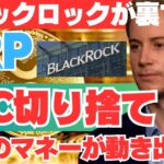 【緊急速報】ブラックロックがビットコイン切り捨て！？真の資産分散先は“XRP”だった！