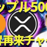 今がチャンス？ビットコインとXRPの未来予想