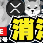 【緊急】ミーム下落！仮想通貨だめか？XRP最新情報も