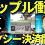 【XRP NEWS】リップルタクシーで送金決済開始！ドバイトークン2049についても解説！