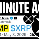 XRP RIPPLE: ELON MUSK SPILLS THE BEANS! XRP TO HIT $978.34 OVERNIGHT! – RIPPLE XRP NEWS TODAY