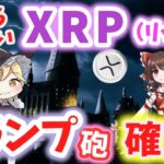 【ゆっくり解説】 いまさら聞けない･･･ XRP（リップル）　 #リップル  #暗号資産　#ガルスTV