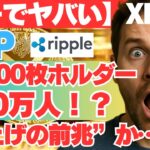 【ガチでヤバい】XRP保有者が爆増中！“10,000枚超”のウォレットが30万件に急増！