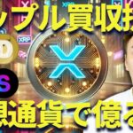 【XRP】リップルが買収提案!?2025年仮想通貨ガチホだけの危険性も解説！