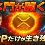 【XRPリップル】マイケル・バーリが全売却！2026年“血の相場”突入前に…XRPだけが生き残る理由⁉