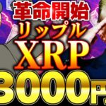 【仮想通貨】リップル(XRP)3000円。ガチホで勝ち確定!?最新情報と今後の価格予想【ゆっくり】