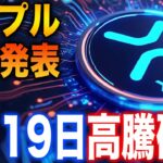 【XRP重大発表】5月19日にリップル高騰確定！マジで2025年に100倍を狙えるコインは◯◯！【リップル/XRP】【ビットコイン/BTC】