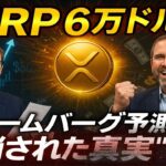 【XRPリップル】ブルームバーグが60,000ドルを予測⁉ガチで“隠された真実”がヤバい…