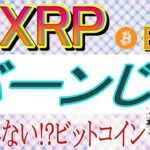 【XRP・BTC】リップルステーブルコイン（RLUSD）バーン！。ビットコインは売られていない!?