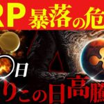 【XRP終わり？】いやリップルCEO自らが🔥XRPに全財産投資🔥ここから高騰する未来しか見えません#xrp #リップル #暗号通貨 #仮想通貨 #crypto