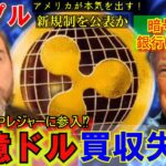 リップル（XRP)にUSDCが仲間入り⁉50億ドルで買収失敗も作戦だった⁉アメリカが暗号資産の新規制制定か！銀行はもうオワコンか！面白くなってきた！