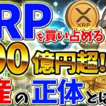 【リップル速報】🚨XRPクジラ買い占め急増！これは“爆上げ前夜”か？価格上昇の兆候を徹底解説（ビットコイン、暗号資産、XRP、リップル）
