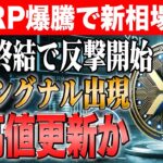 【リップル】XRP訴訟終結で反撃開始！チャート上に重要シグナル出現で過去最高値を更新か！【シバイヌ】【ドージ】【イーロンマスク】【リップル】【XRP】【DOGE】【ビットコイン】