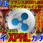 リップル（XRP)ドバイとフランスでXRPLが本格活用！ETFでXRPに資金大量流入！石破の問題発言で日本は終わる