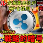 リップル（XRP)が米国家準備金に！製薬会社でXRPが採用！SECと完全和解！トランプとリップル社の関係が熱い！凄いことになってきた！