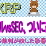【XRP将来予測】リップルvsSEC、ついに終結！世紀の裁判が残した影響とは？