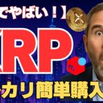 マジでやばい!!メルカリでXRPが買える!#xrp #リップル#メルカリ