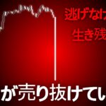 たった一言だけ、わたしからお伝えします。ビットコインの上昇は、もう「ありません」（しばらくの間）
