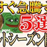 【注目すべき５つのトークン】クジラが大量購入しているコインとは？？