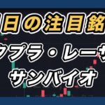 【明日の注目銘柄  指数＆個別株チャート分析】 メタプラネット・サンバイオ・レーザーテック