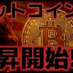 ビットコインバブルが開始した！！年末までに２０万ドル突破する！？
