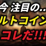 注目のアルトコインはコレだ…!!!