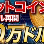 【急上昇】ビットコインバブル再び！今後の市場はどうなる？【仮想通貨 ニュース】【ビットコイン ドル】【ビットコイン 今後】