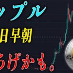 【緊急】リップルにとんでもない情報が入りました！