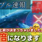 🚨リップル速報🚨クジラ関連でとんでもない情報が入りました!!