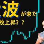 ビットコインが上昇している以外な理由！？（カタリスト）トレンドはどこまで継続する！？