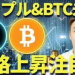 ビットコインとリップルの未来が気になる人必見！