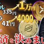 『まじで備えてください』ステラとリップルが米国決済協議会で激推しされてます。#xrp #仮想通貨 #リップル #暗号資産