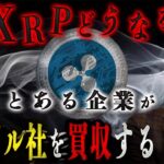 【衝撃事実】リップル社が買収されたらどうなる？ #リップル #仮想通貨 #ビットコイン #xrp