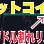 【ビットコイン】10万ドル割れリスク！？9万⚫️⚫️ドルまで急落の可能性！？
