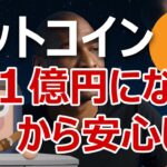 ビットコイン1億5000万円になるヘイズ理論を説明します