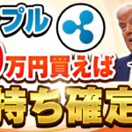 【真実】今リップルを20万円買えば10年後にはお金持ちになれます【仮想通貨】【ビットコインより速くて安い】