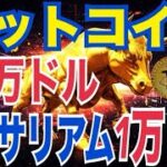 【2025価格予測】ビットコイン20万ドル！？イーサリアム1万ドル到達の可能性！？ビットコイン暴落リスクヤバすぎる！？