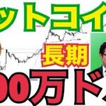 【衝撃】【ビットコイン】2025年末20万ドルから25万ドル！？長期で300万ドルまで上昇の可能性！？