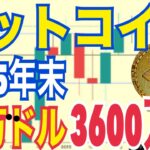 【ビットコイン】2025年末25万ドル（約3600万円）まで到達の可能性！？