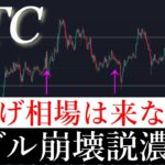 ⚠️ビットコインバブル相場は来ない。2025年後半暴落か。BTCUSD